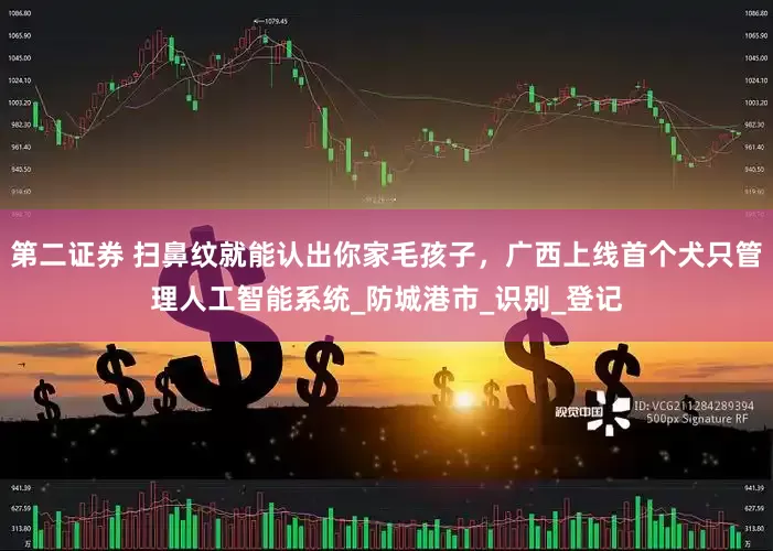 第二证券 扫鼻纹就能认出你家毛孩子，广西上线首个犬只管理人工智能系统_防城港市_识别_登记