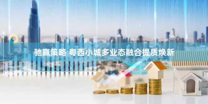 驰赢策略 粤西小城多业态融合提质焕新