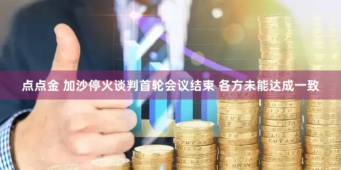 点点金 加沙停火谈判首轮会议结束 各方未能达成一致