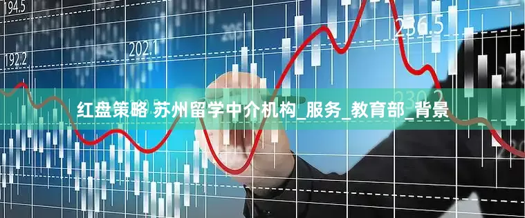 红盘策略 苏州留学中介机构_服务_教育部_背景