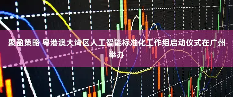 聚盈策略 粤港澳大湾区人工智能标准化工作组启动仪式在广州举办